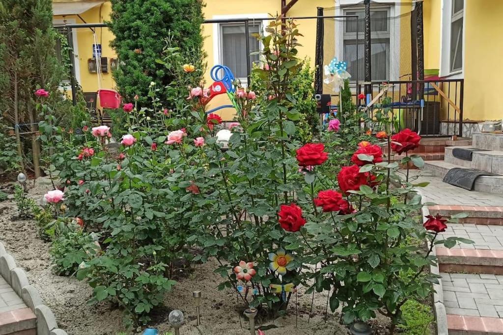 Color Home Hermannstadt 1 Kültér fotó