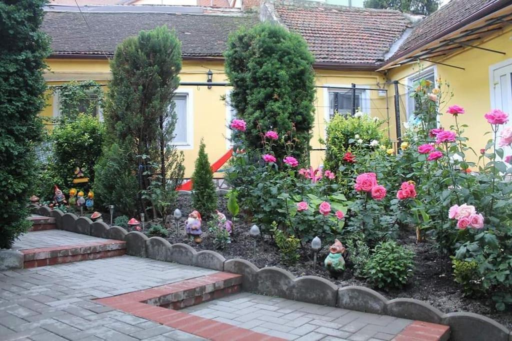 Color Home Hermannstadt 1 Kültér fotó